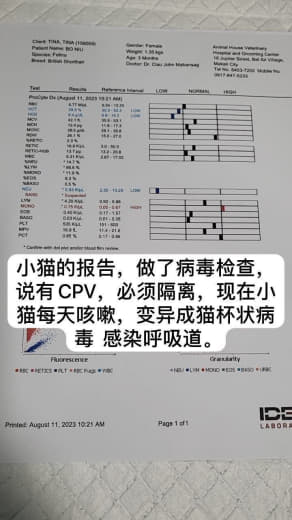 趴赛《名门吕小姐宠物店》名门7-11便利店二楼LV吕小姐宠物咖啡馆。黑...